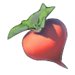 BotW Hearty Radish