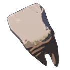 Hinox Tooth Icon