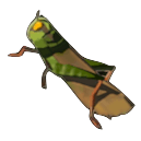 Restless Cricket Image