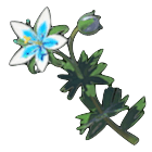 Where To Farm Silent Princesss Locations And Prices Zelda Breath Of The Wild Botw Game8