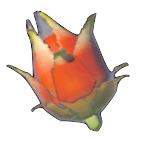 Voltfruit Icon