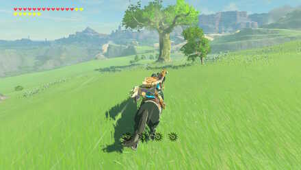 The Legend of Zelda Breath of the Wild (BotW) Photo 6 Location