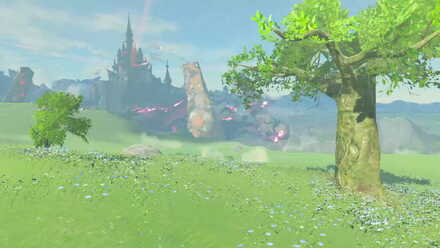 The Legend of Zelda Breath of the Wild (BotW) Photo 6 - Irch Plain