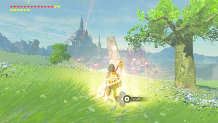 The Legend of Zelda Breath of the Wild (BotW) Recall Photo 6