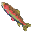 BotW Sizzlefin Trout