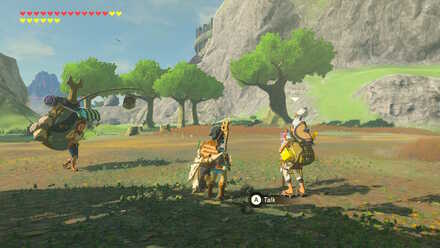 The Legend of Zelda Breath of the Wild (BotW) Pikango in Outskirt Stable