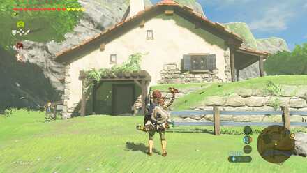 Zelda buy clearance house