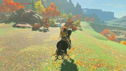 The Legend of Zelda Breath of the Wild (BotW) Shadow Pass