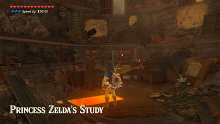 The Legend of Zelda Breath of the Wild (BotW) Princess Zelda