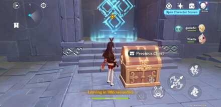 Precious Chest.jpg