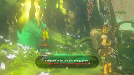 Riddles of Hyrule Walkthrough | How to Solve Riddles | Zelda: Breath of ...