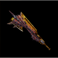 Weapon Image