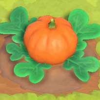 ACNH - Pumpkin Growth Day 4