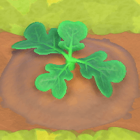 ACNH - Pumpkin Growth Day 2