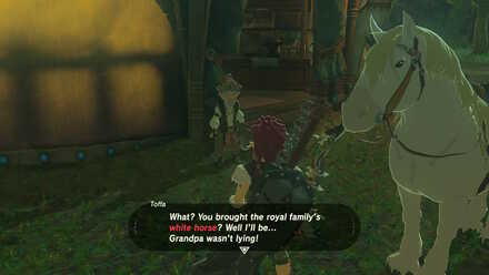 Showing the white horse to Toffa