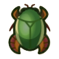 Diving Beetle Image