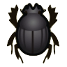 Dung Beetle Image