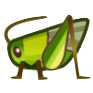 Grasshopper Image