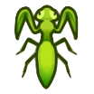 Mantis Image