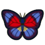 Agrias Butterfly Image
