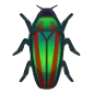 Jewel Beetle Image