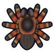 ACNH - Tarantula