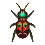 Tiger Beetle Image