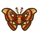 Atlas Moth Image