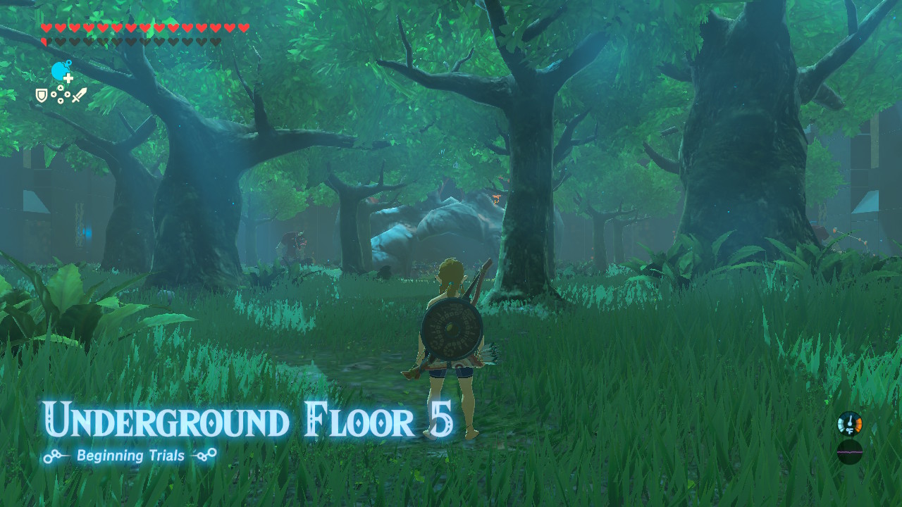 BOTW - The Beginning Trials Floor 5