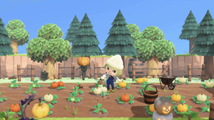 ANCH - minto - Pumpkin Patch Idea 2
