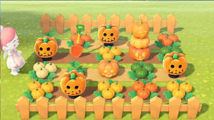 ANCH - Rinchan - Pumpkin Patch Idea 3