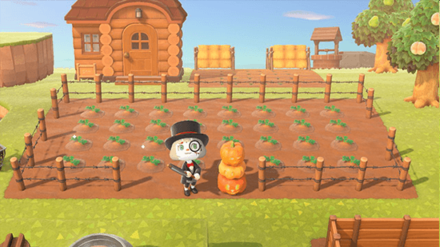 Featured image of post Simple Way to Pumpkin Patch Acnh Farm Ideas