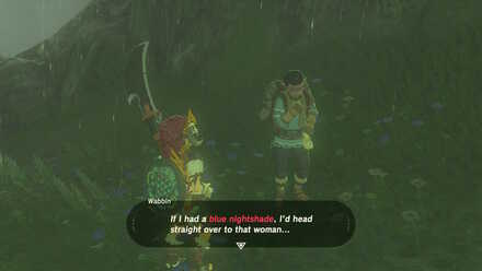 A Gift of Nightshade walkthrough