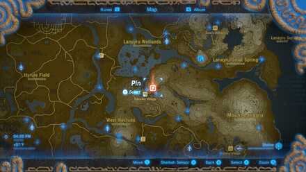 Blue nightshade location