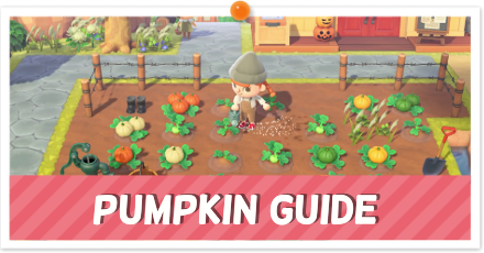 ACNH - Pumpkin Guide Partial Banner