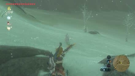 Hunting for Raw Gourmet Meat