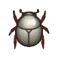 Scarab Beetle Image