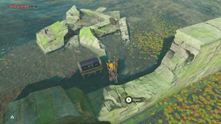 BOTW - EX Treasure Twilight Relic Chest Dig