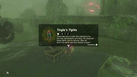 BOTW - EX Treasure Fairy Clothes Tingle