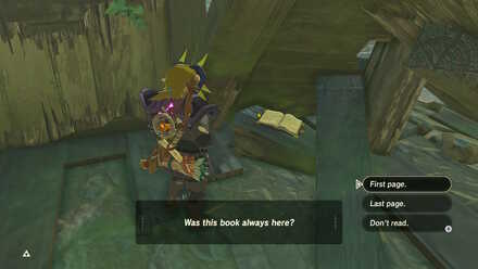 BOTW - EX Treasure Misko