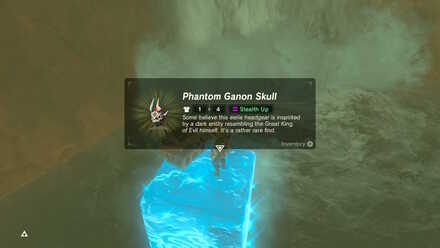 BOTW - EX Treasure Phantom Ganon Skull