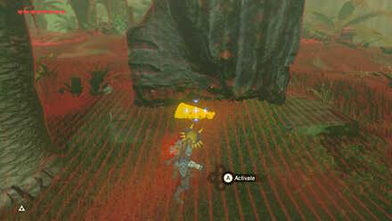 BOTW - EX Treasure Ebra Forest Chest