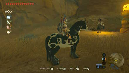 Horses and Mounts - The Legend of Zelda: Breath of the Wild Wiki