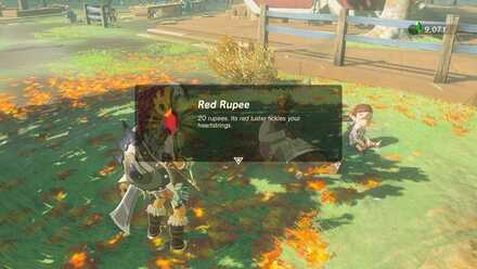 Hobbies of the Rich reward 2