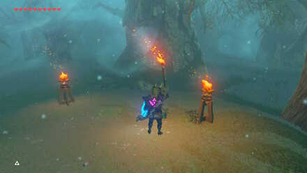 BOTW - EX Treasure Strange Mask Two Torches