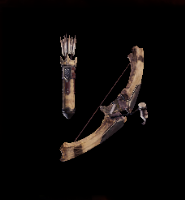 Solid Bone Layer Image