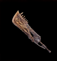 Single Edge Bone Layer Image