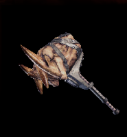 Fang Bone Layer Image