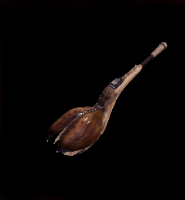 Insect Hulk Layer Image