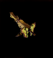 Kulve Taroth+ Layer Image